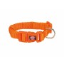 Hundehalsband Trixie New Premium Orange XXS/XS 15-25 cm | Tienda24 - Global Online Shop Tienda24.eu