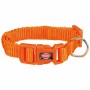 Coleira para Cães Trixie New Premium Laranja XXS/XS 15-25 cm | Tienda24 - Global Online Shop Tienda24.eu