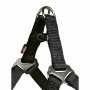 Dog harness Trixie New Premium Black XS/S | Tienda24 - Global Online Shop Tienda24.eu