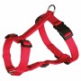 Arnês para Cães Trixie Classic Vermelho XS/S | Tienda24 - Global Online Shop Tienda24.eu