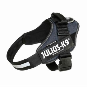 Dog Harness Red Dingo 36-50 cm Black S | Tienda24 - Global Online Shop Tienda24.eu