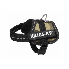 Dog Harness Company of Animals Turquoise L 42-65 cm | Tienda24 - Global Online Shop Tienda24.eu