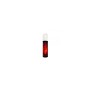 Amélioration de l'Orgasme Nuei Cosmetics of the Night Thor 50 ml de Nuei Cosmetics of the Night, Amplificateurs sexuels - Réf...