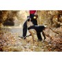 Imbracatura per Cani Julius K9 IDC L/XL 2 | Tienda24 - Global Online Shop Tienda24.eu