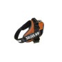 Hundegeschirr Julius K9 IDC Orange XL 3 82-118 CM | Tienda24 - Global Online Shop Tienda24.eu