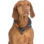 Collar de Adiestramiento para Perros Trixie BE NORDIC Marrón Gris oscuro 45 cm | Tienda24 - Global Online Shop Tienda24.eu