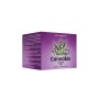 Stimulating Gel Nuei Cosmetics of the Night 60 ml Cannabis by Nuei Cosmetics of the Night, Lubricants & Licks - Ref: M0405551...