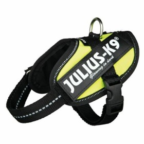 Dog Harness Julius K9 IDC Red L/XL 2 | Tienda24 - Global Online Shop Tienda24.eu