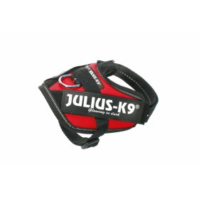 Hundegeschirr Julius K9 IDC Rot M/L | Tienda24 - Global Online Shop Tienda24.eu