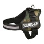 Harnais pour Chien Julius K9 Power L/XL 2 | Tienda24 - Global Online Shop Tienda24.eu