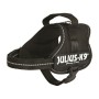 Arnés para Perro Julius K9 Power Negro S | Tienda24 - Global Online Shop Tienda24.eu