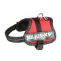 Arnés para Perro Julius K9 Power Rojo 2 Baby 2 (XS/S) | Tienda24 - Global Online Shop Tienda24.eu