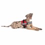 Arnés para Perro Julius K9 Power Rojo L/XL 2 | Tienda24 - Global Online Shop Tienda24.eu