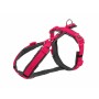 Arnés para Perro Trixie Trekking New Premium Grafito Fucsia S | Tienda24 - Global Online Shop Tienda24.eu