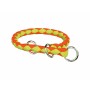 Hundehalsband Trixie grün Orange 25-31 cm 25 x 31 cm | Tienda24 - Global Online Shop Tienda24.eu