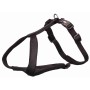 Arnés para Perro Trixie Premium Negro XXS/XS | Tienda24 - Global Online Shop Tienda24.eu