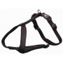 Arnés para Perro Trixie Premium Negro XXS/XS | Tienda24 - Global Online Shop Tienda24.eu