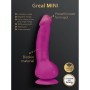 Dildo Gvibe Greal Mini Fuchsia | Tienda24 - Global Online Shop Tienda24.eu