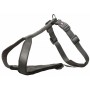 Dog Harness Trixie Premium Graphite XXS/XS | Tienda24 - Global Online Shop Tienda24.eu