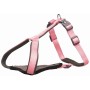 Hundegeschirr Trixie Premium XXS/XS | Tienda24 - Global Online Shop Tienda24.eu