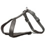 Dog Harness Trixie Premium Graphite XS/S | Tienda24 - Global Online Shop Tienda24.eu