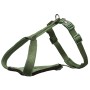 Arnés para Perro Trixie Premium Verde S | Tienda24 - Global Online Shop Tienda24.eu