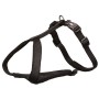 Harnais pour Chien Trixie Premium Noir XL/XXL | Tienda24 - Global Online Shop Tienda24.eu