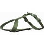 Dog Harness Trixie Premium Green XL/XXL | Tienda24 - Global Online Shop Tienda24.eu