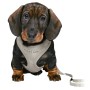 Dog Harness Trixie Junior Light grey | Tienda24 - Global Online Shop Tienda24.eu