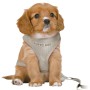 Dog Harness Trixie Junior Light grey M/L | Tienda24 - Global Online Shop Tienda24.eu