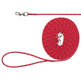 Laisse pour Chien Gloria Vert (120 cm) | Tienda24 - Global Online Shop Tienda24.eu