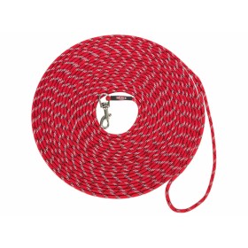 Guinzaglio per Cani Red Dingo Turchese (1,5 x 120 cm) | Tienda24 - Global Online Shop Tienda24.eu