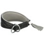 Collier de dressage Trixie Active Comfort Noir Gris XS/S 24-31 cm | Tienda24 - Global Online Shop Tienda24.eu