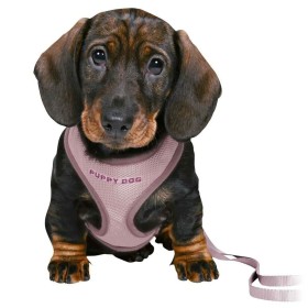 Trela para Cães Trixie New Premium L/XL | Tienda24 - Global Online Shop Tienda24.eu