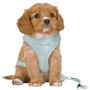 Harnais pour Chien Trixie Junior Menthe M/L | Tienda24 - Global Online Shop Tienda24.eu