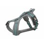 Harnais pour Chien Trixie Fusion Confort Graphite Azul Océano M | Tienda24 - Global Online Shop Tienda24.eu