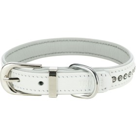 Collar para Perro Trixie Curry XXS/XS 15-25 cm | Tienda24 - Global Online Shop Tienda24.eu