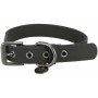 Hundehalsband Trixie CityStyle Schwarz S/M 30-37 cm | Tienda24 - Global Online Shop Tienda24.eu