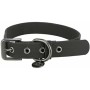 Collar para Perro Trixie CityStyle Negro M 35-42 cm | Tienda24 - Global Online Shop Tienda24.eu