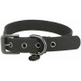 Collar para Perro Trixie CityStyle Negro L 45-52 cm 42-52 cm | Tienda24 - Global Online Shop Tienda24.eu