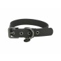 Dog collar Trixie Black XS/S 25-32 cm | Tienda24 - Global Online Shop Tienda24.eu