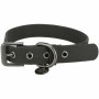 Collier pour Chien Trixie Noir XS/S 25-32 cm | Tienda24 - Global Online Shop Tienda24.eu