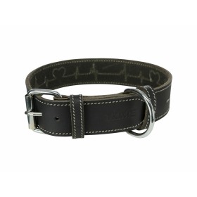 Dog collar Hunter Convenience Turquoise (38-46 cm) | Tienda24 - Global Online Shop Tienda24.eu