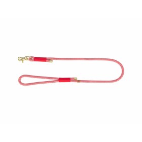 Adjustable dog leash Trixie Orange Graphite S/M 2 m | Tienda24 - Global Online Shop Tienda24.eu