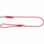 Strap Trixie Ø 10 mm Red | Tienda24 - Global Online Shop Tienda24.eu