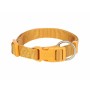 Dog collar Trixie Curry XXS/XS 15-25 cm | Tienda24 - Global Online Shop Tienda24.eu