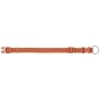 Collier pour Chien Trixie Premium Orange XXS/XS 15-25 cm | Tienda24 - Global Online Shop Tienda24.eu