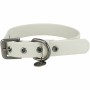 Collar para Perro Trixie Gris claro XS/S 25-32 cm | Tienda24 - Global Online Shop Tienda24.eu