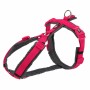 Arnés para Perro Trixie Premium Trekking Grafito Fucsia XS/S | Tienda24 - Global Online Shop Tienda24.eu