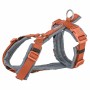 Hundegeschirr Trixie Premium Trekking Orange Graphit XS/S | Tienda24 - Global Online Shop Tienda24.eu